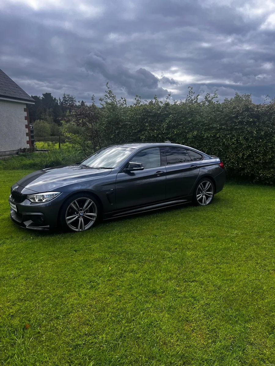 BMW 420d MSport- Gran Coupe-162 - Image 2