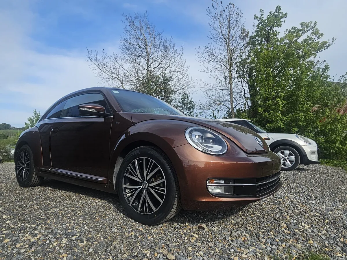 Volkswagen Beetle - Image 1