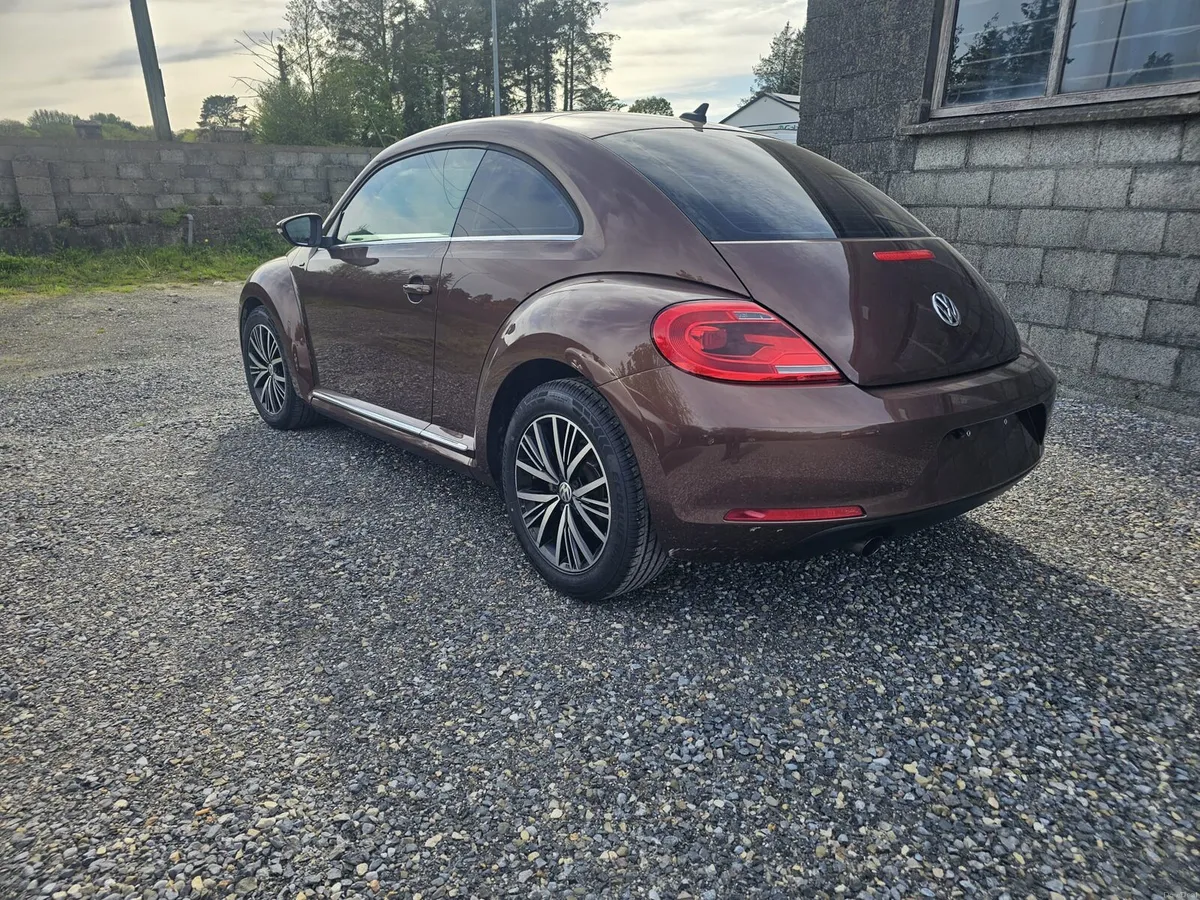 Volkswagen Beetle - Image 4