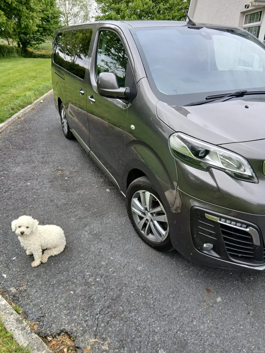 Peugeot traveller allure - Image 3