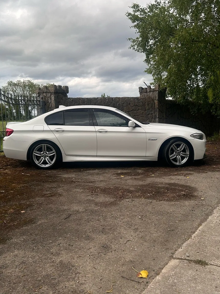 BMW 520d M Sport Plus Alpine White - Image 4