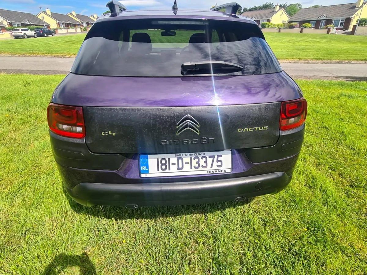 181 Citreon Cactus C4 - Image 4