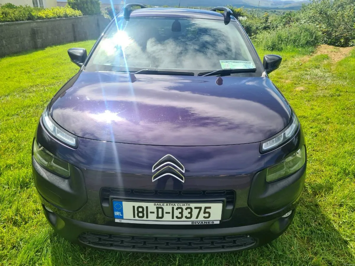 181 Citreon Cactus C4 - Image 2