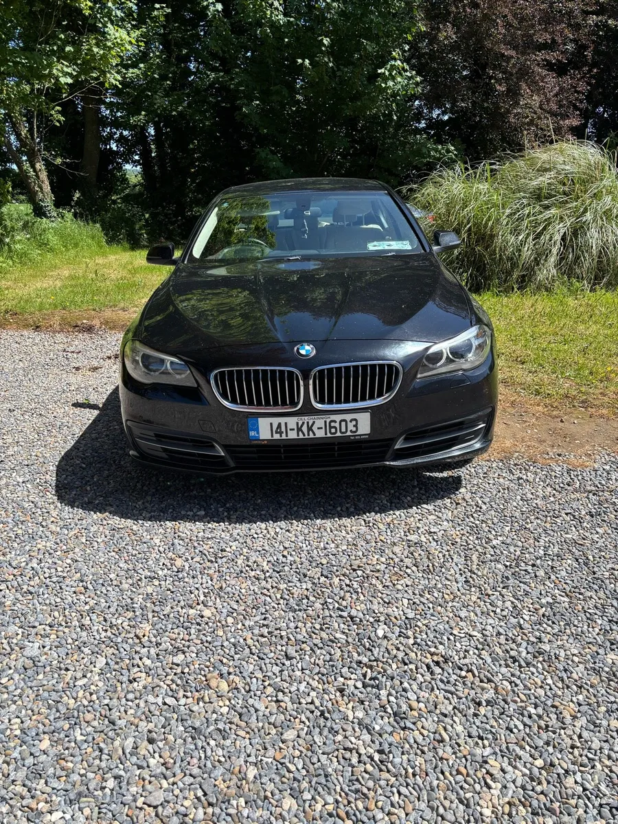 BMW 518d - Image 2