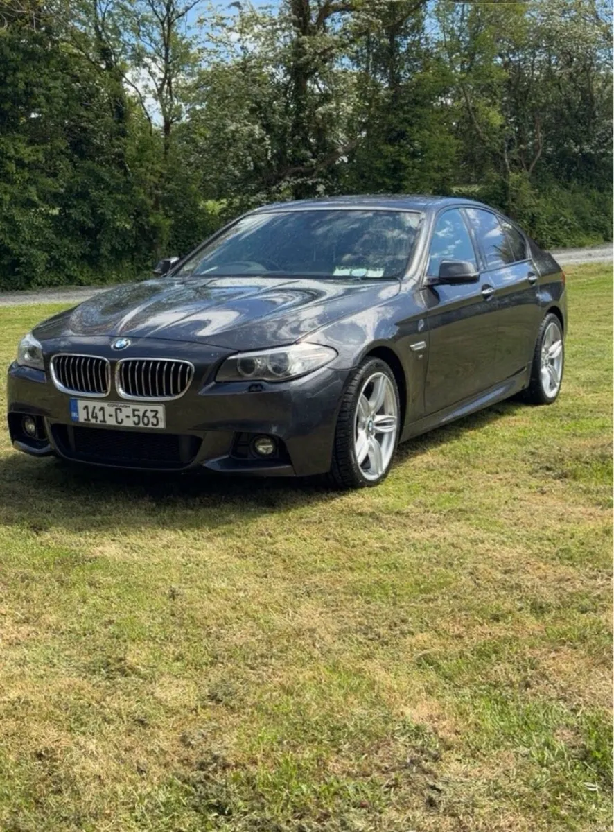 Bmw 5 Series 520D M-Sport Auto - Image 1