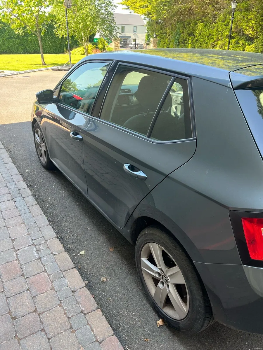 Scodia fabia - Image 3