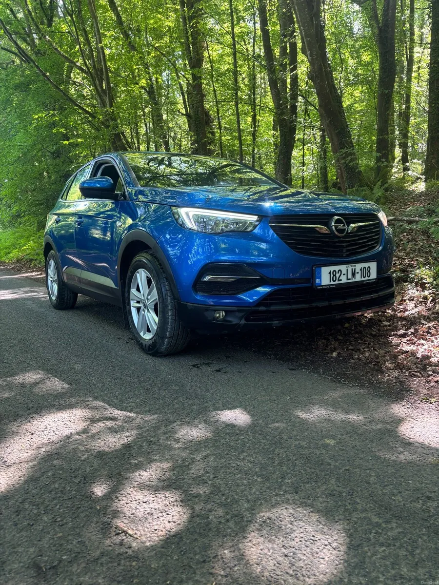 Opel grandland - Image 2