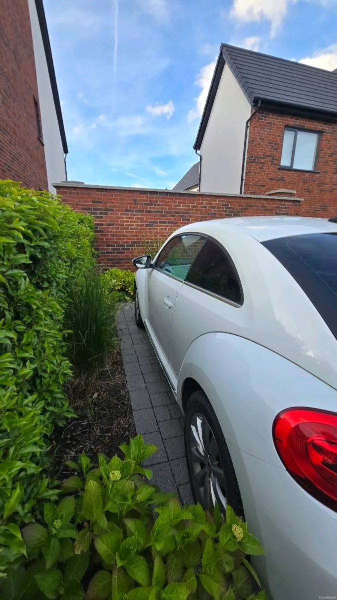 VW Beetle - Image 2