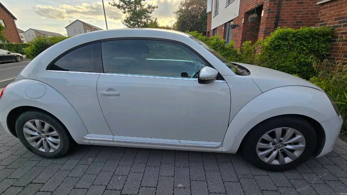 VW Beetle - Image 5