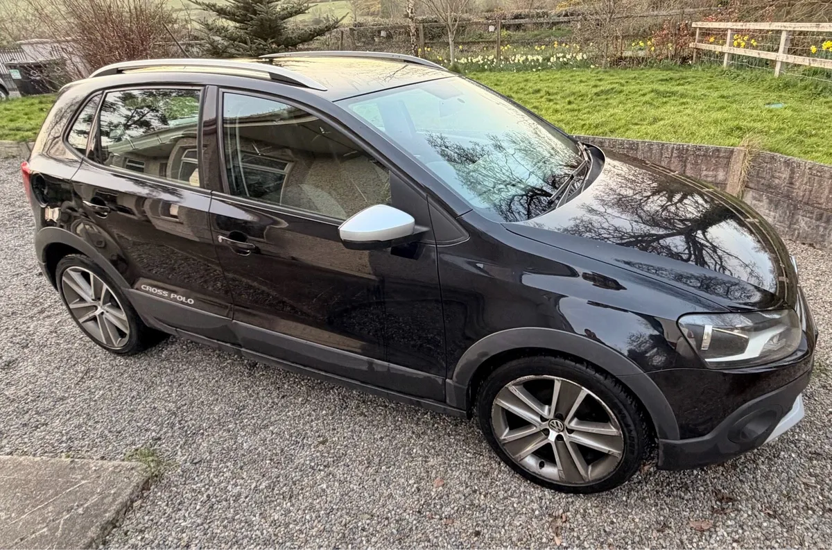 2013 Cross Polo - Image 1