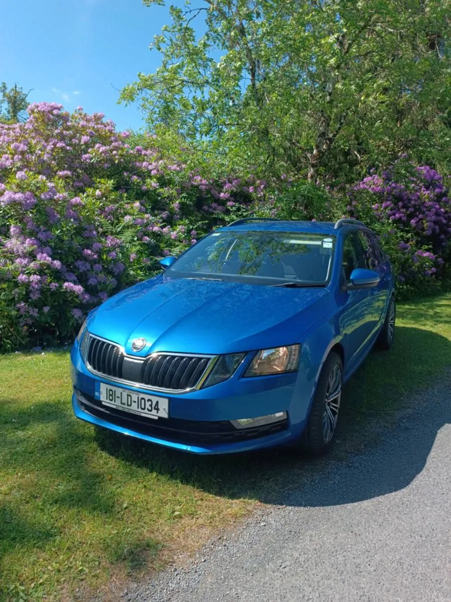 Skoda Octavia 1.6 manual - Image 1
