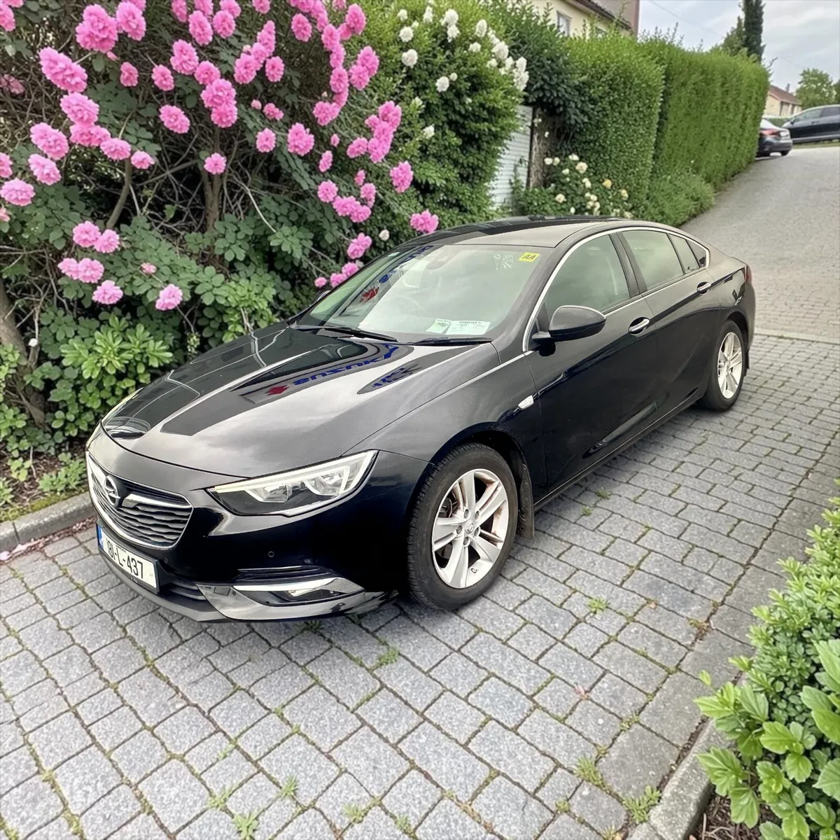 2018 Opel Insignia 1.6 (110PS) Turbo D ecoTEC SE - Image 4