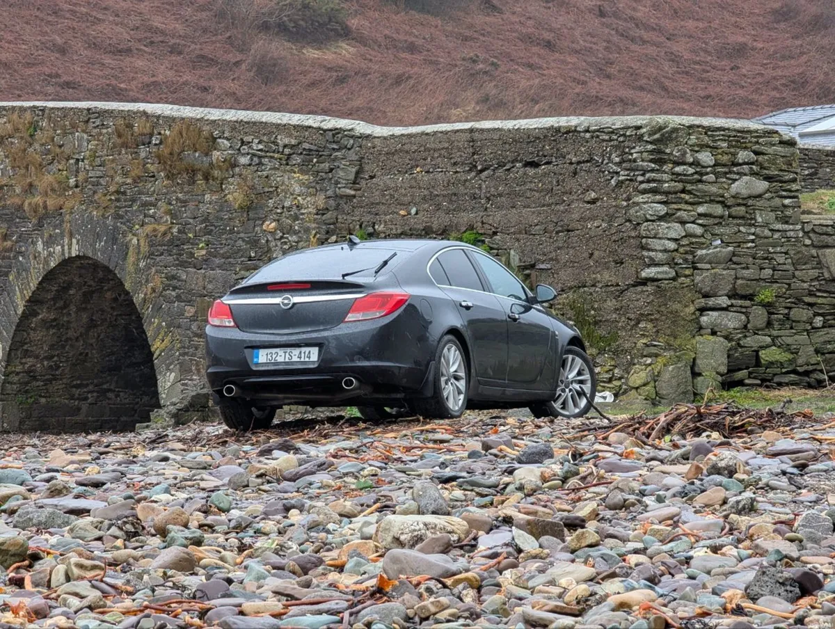 Opel Insignia CarPlay 2.0 CDTI SRI - Image 3