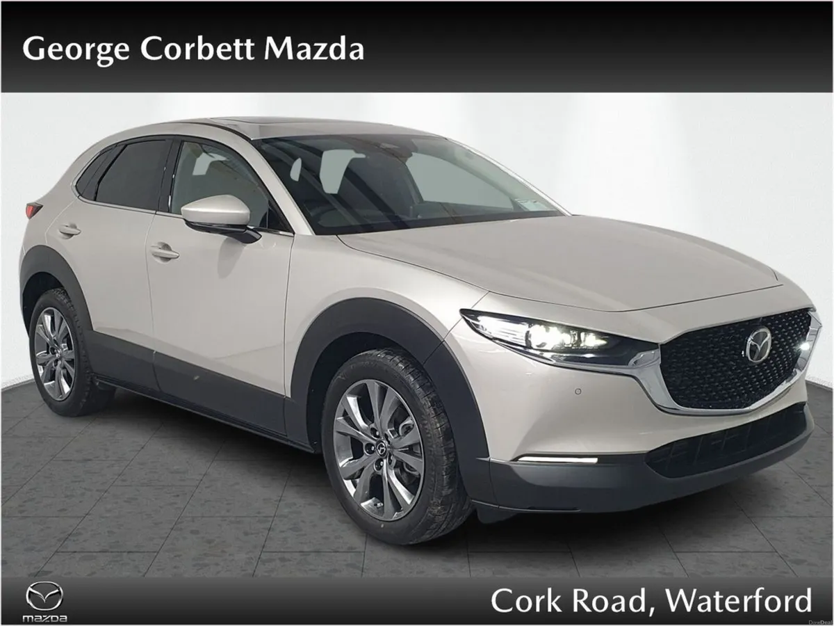 Mazda CX-30 e-SkyactivX 186PS 6MT Takumi - Sunroof - Image 1
