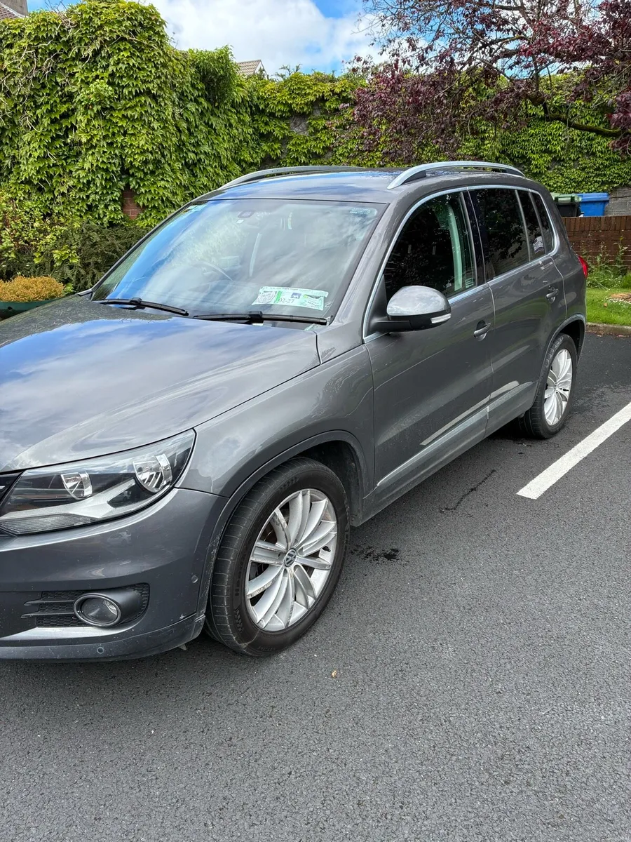 VW Tuigan - Image 3