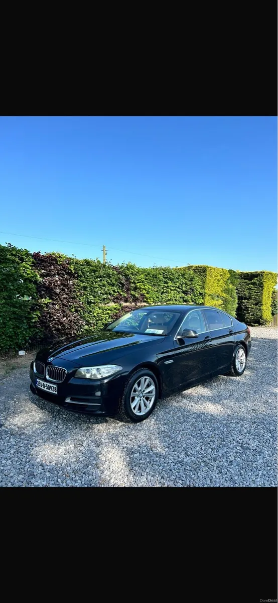 BMW 520 - Image 1