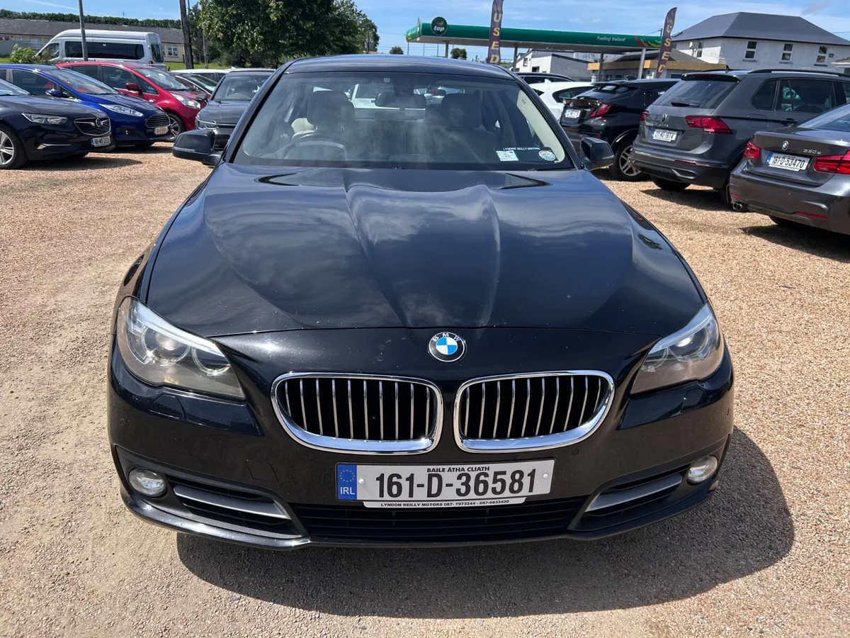 BMW 520D SE - Image 2