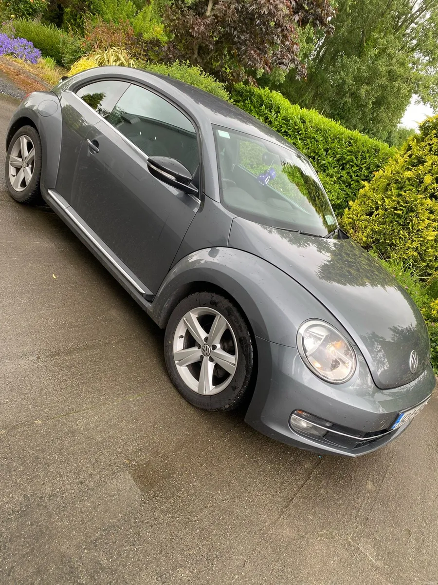 Volkswagen Beetle - Image 1
