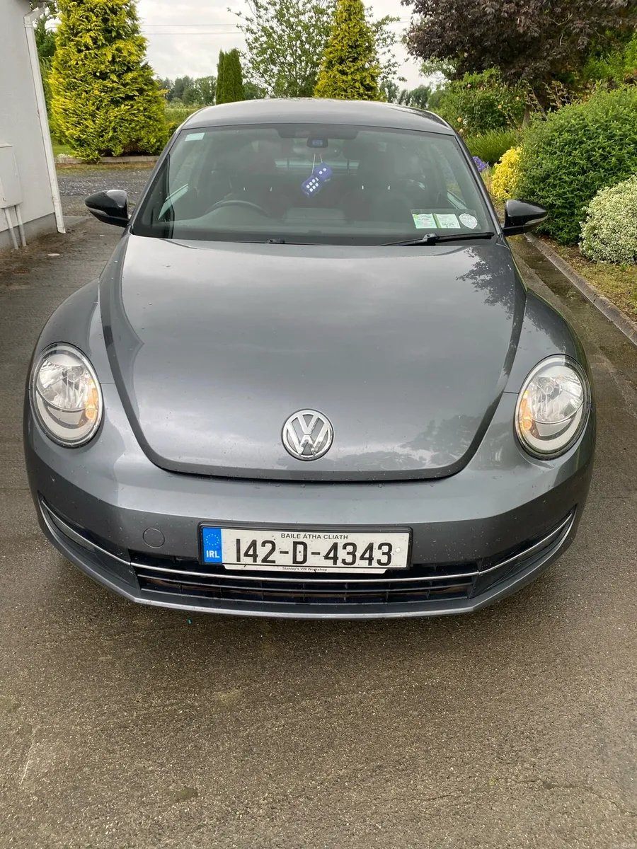 Volkswagen Beetle - Image 2