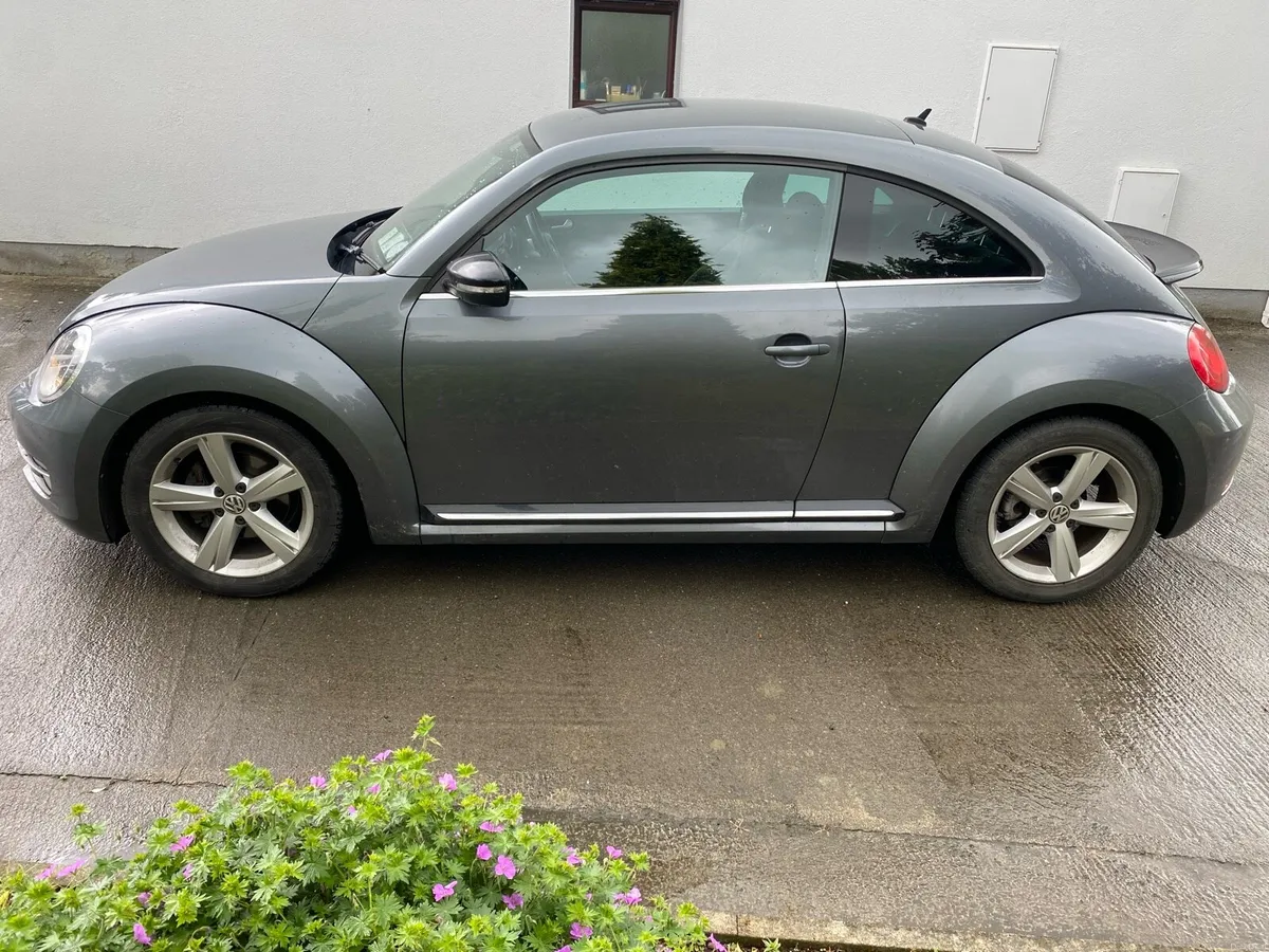 Volkswagen Beetle - Image 3