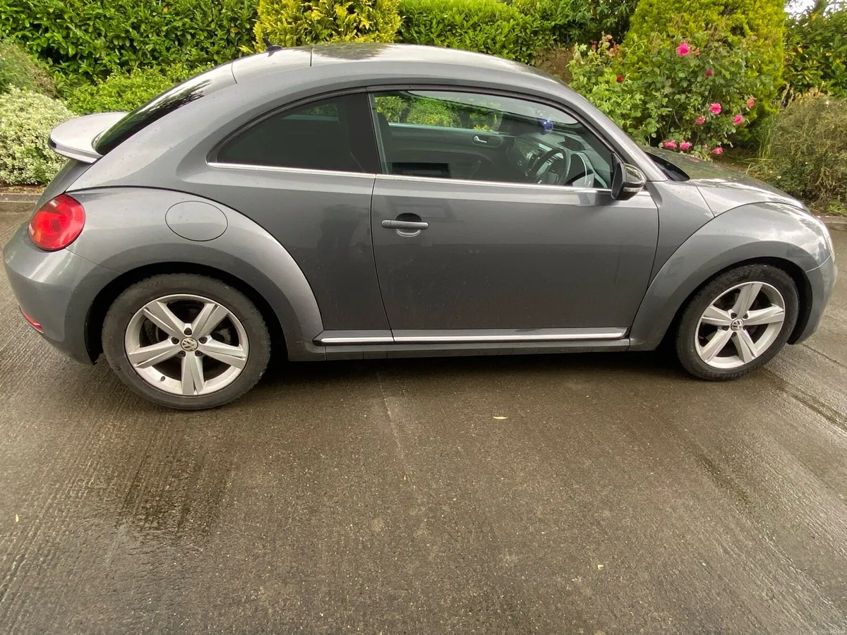 Volkswagen Beetle - Image 4