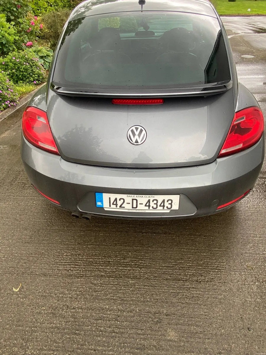 Volkswagen Beetle - Image 5