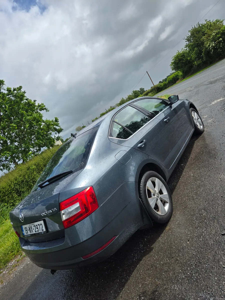 Skoda Octavia 2019 Automatic - Image 4