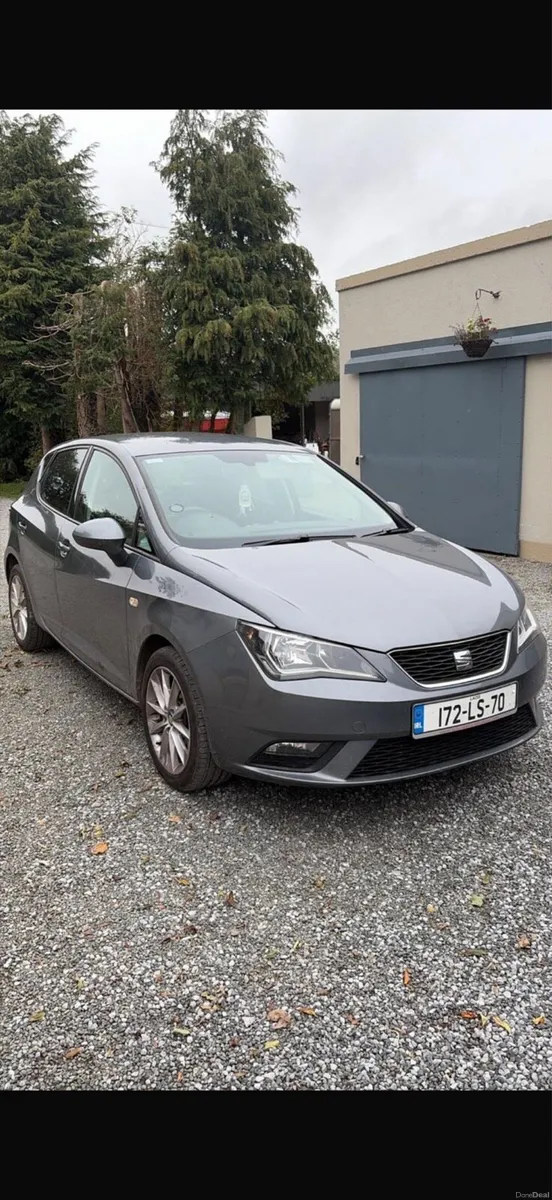 Seat Ibiza - Image 1