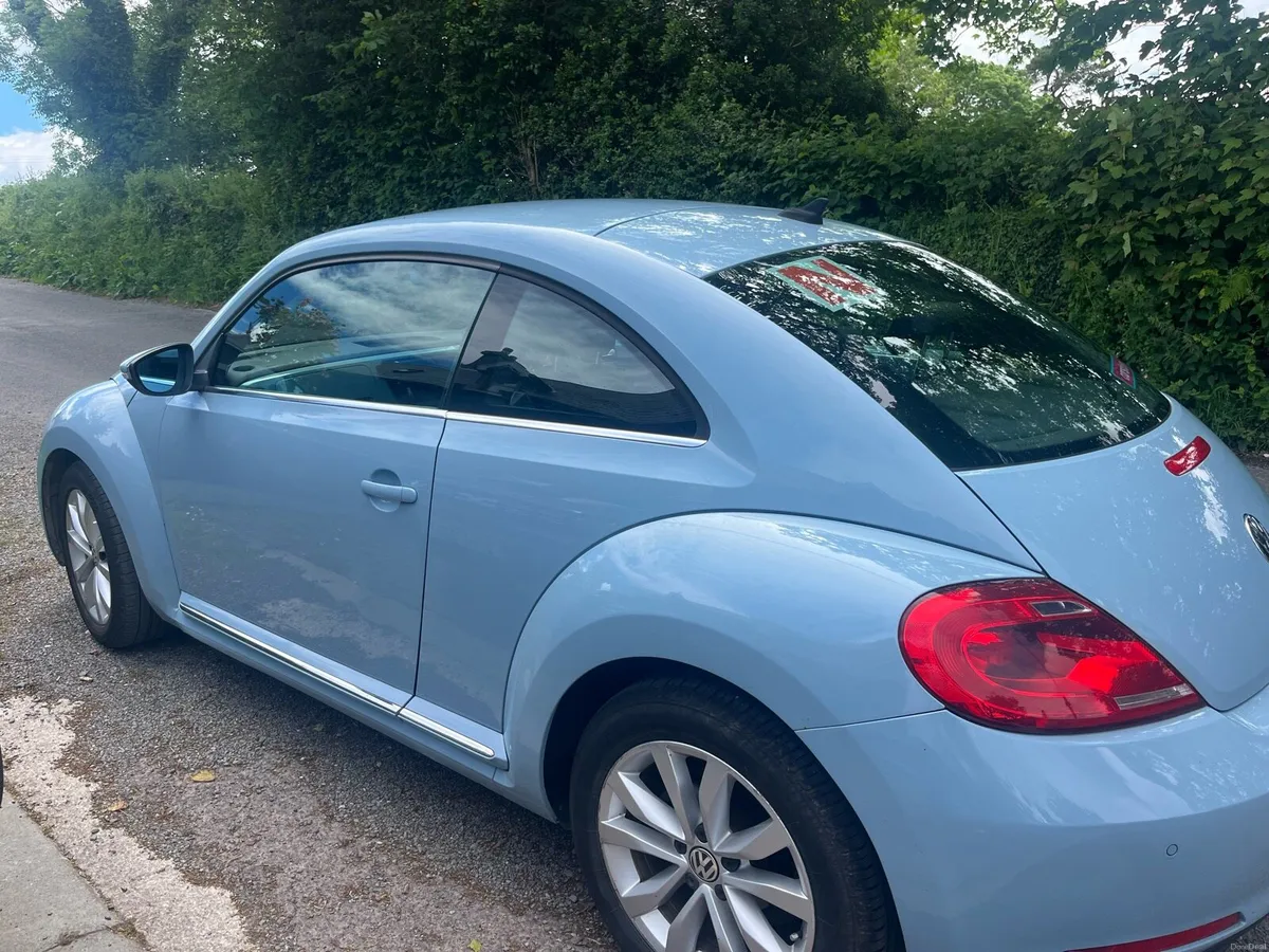 Volkswagen Beetle - Image 2