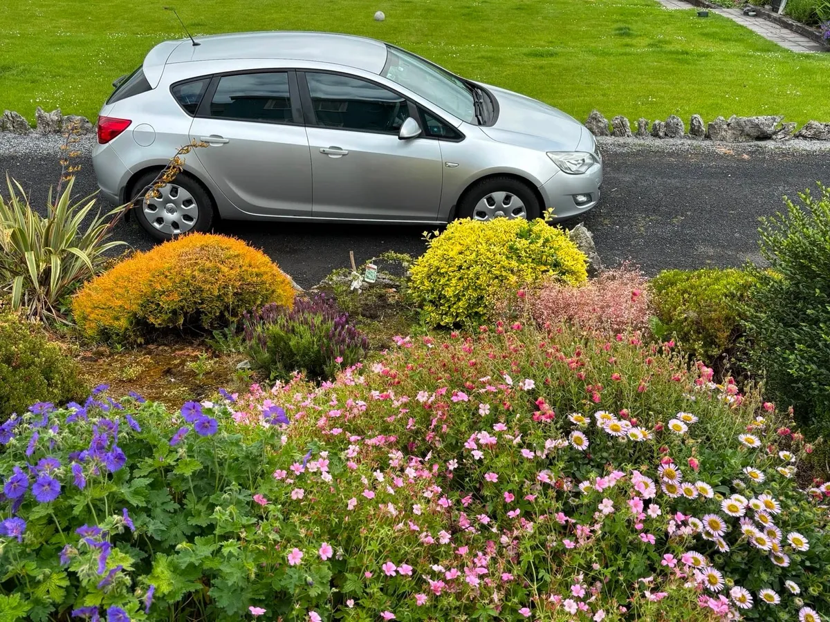 Opel Astra 2010 - Image 4