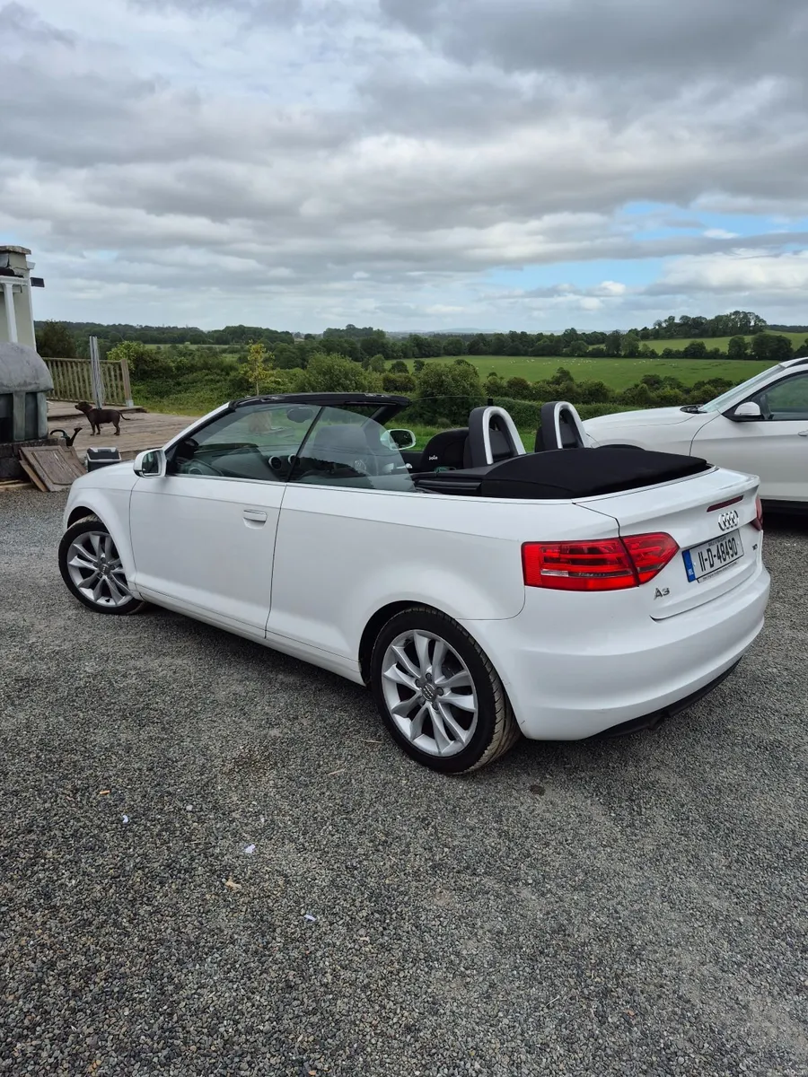 Audi A3 2011 convertible - Image 3