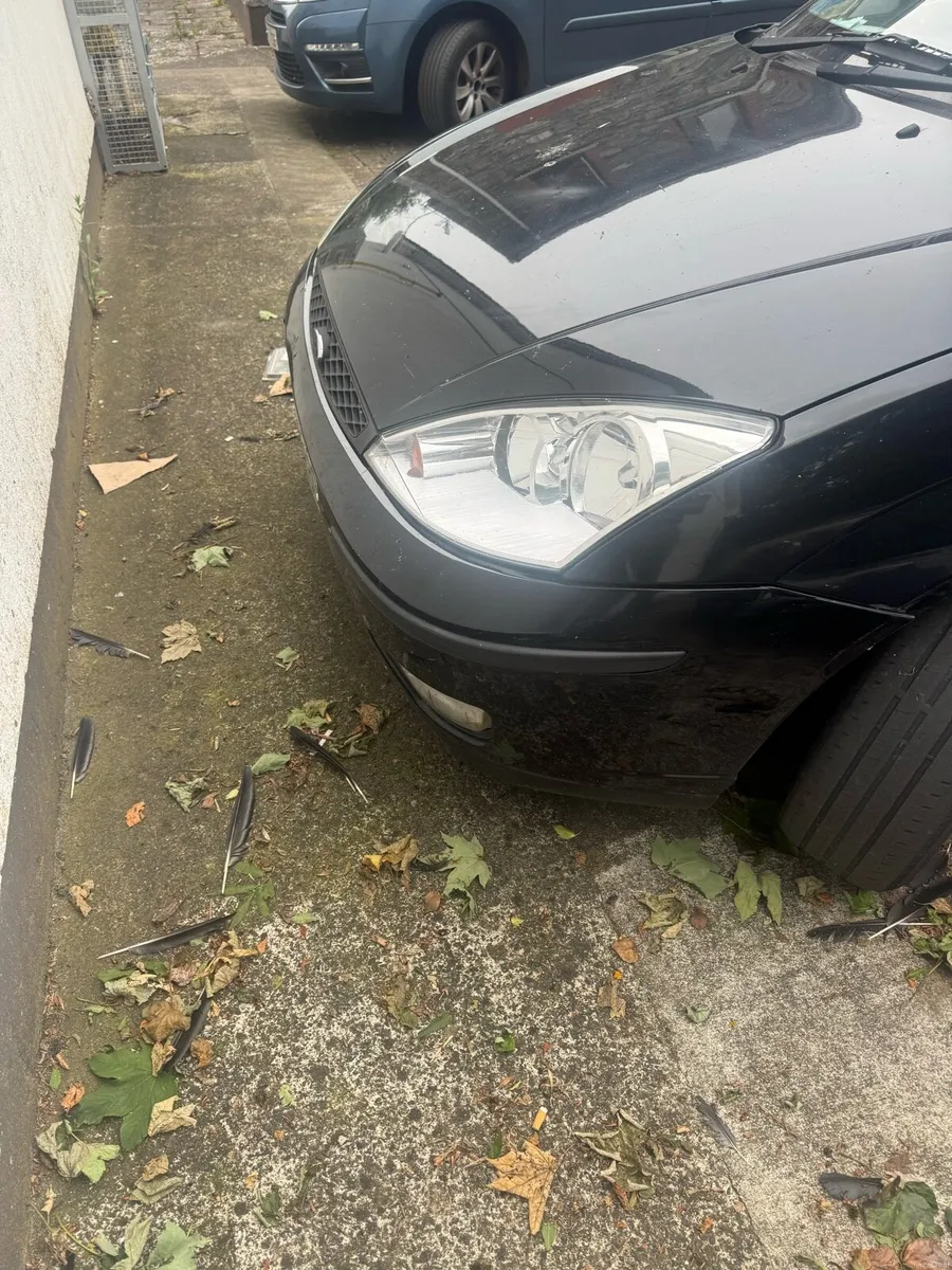 Ford focus - Image 3