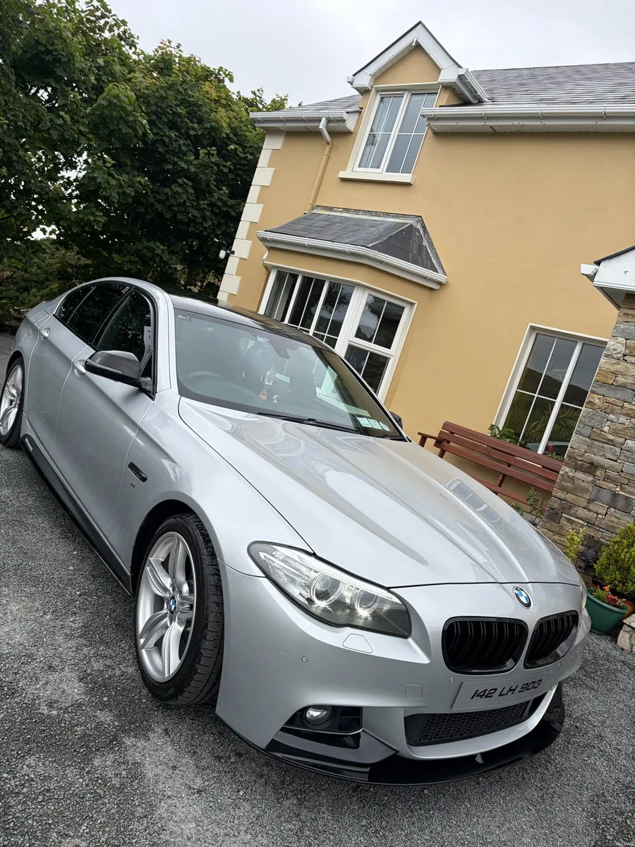 520D Msport - Image 4
