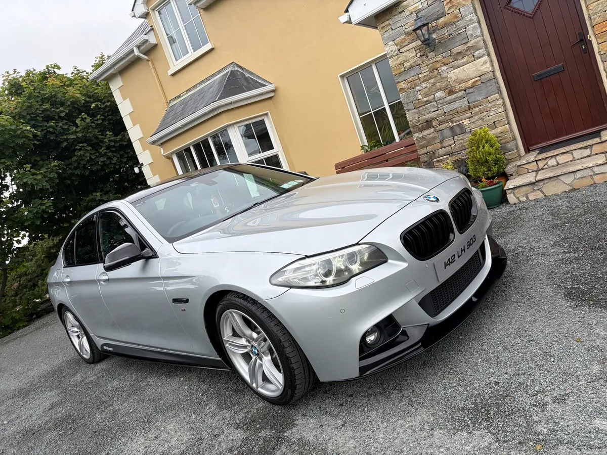 520D Msport - Image 1