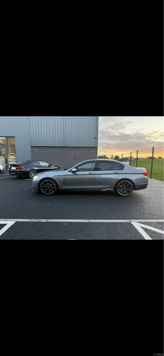 2015 520D - Image 3