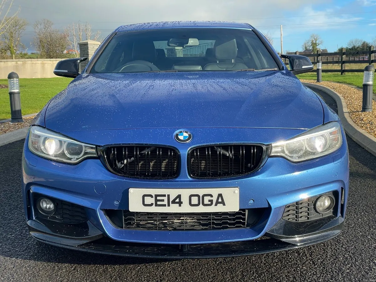 2014 BMW 420d M-Sport (FSH,Kitted, Heated Leather) - Image 2