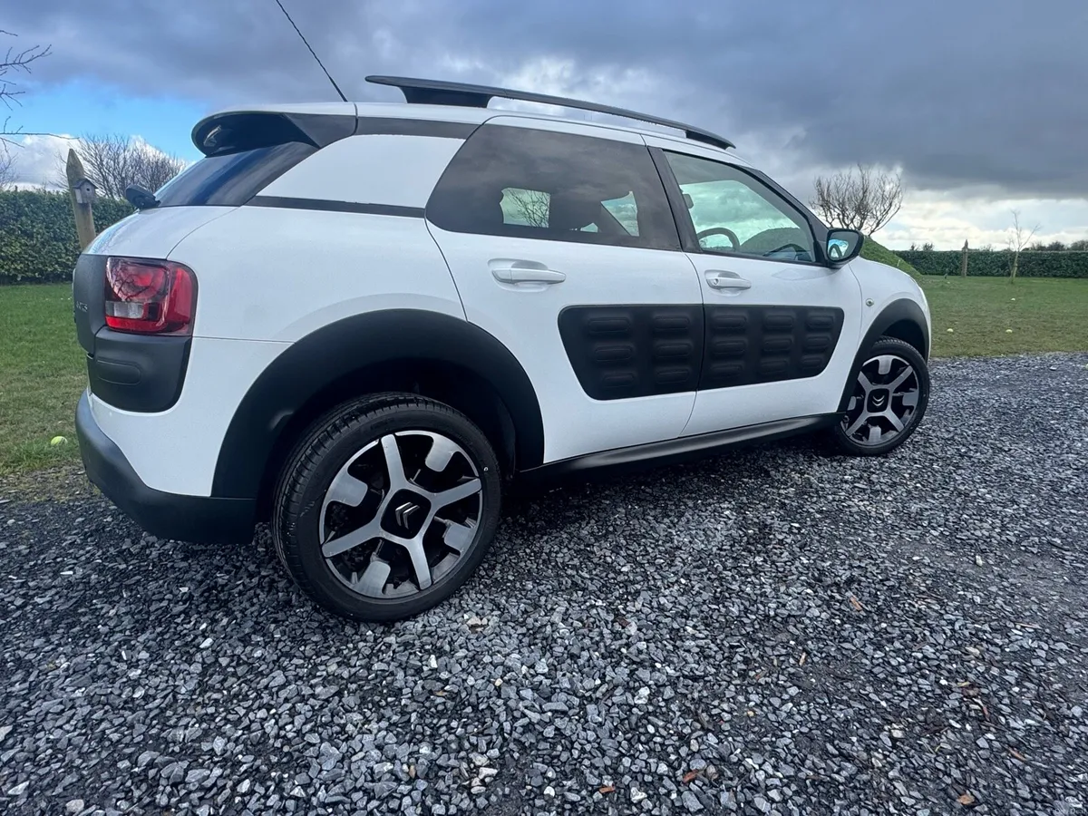 181 Citrone C4 Cactus - Image 2