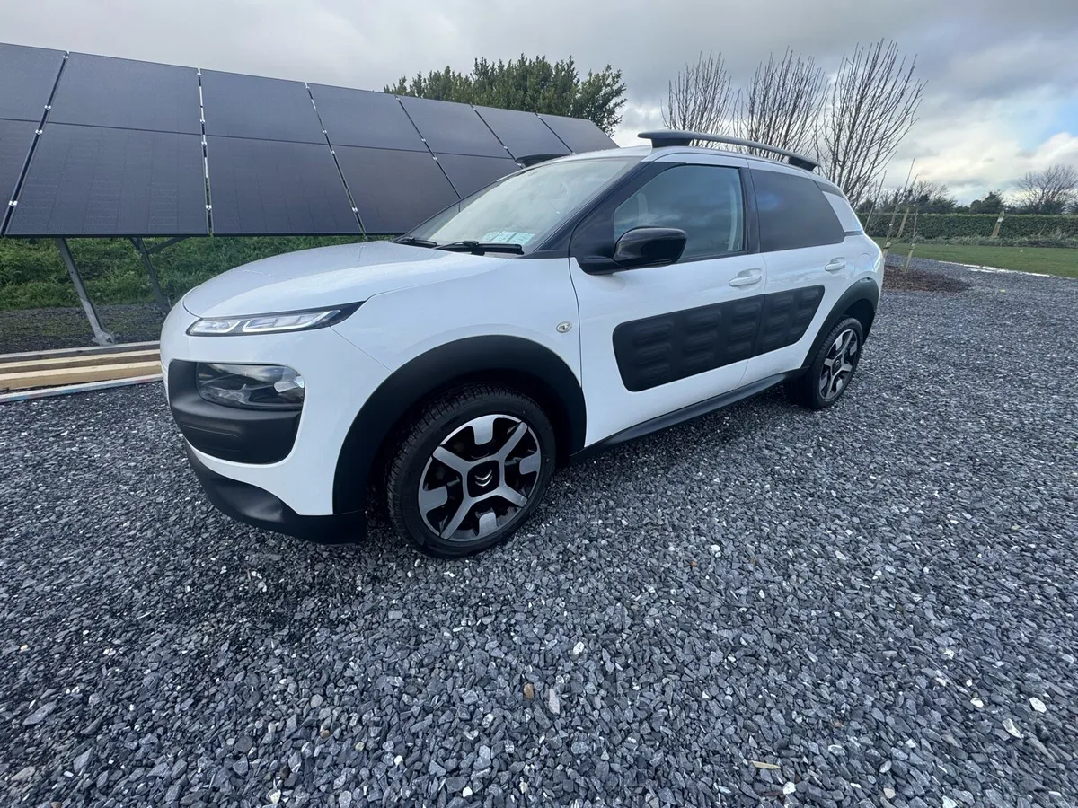 181 Citrone C4 Cactus - Image 1