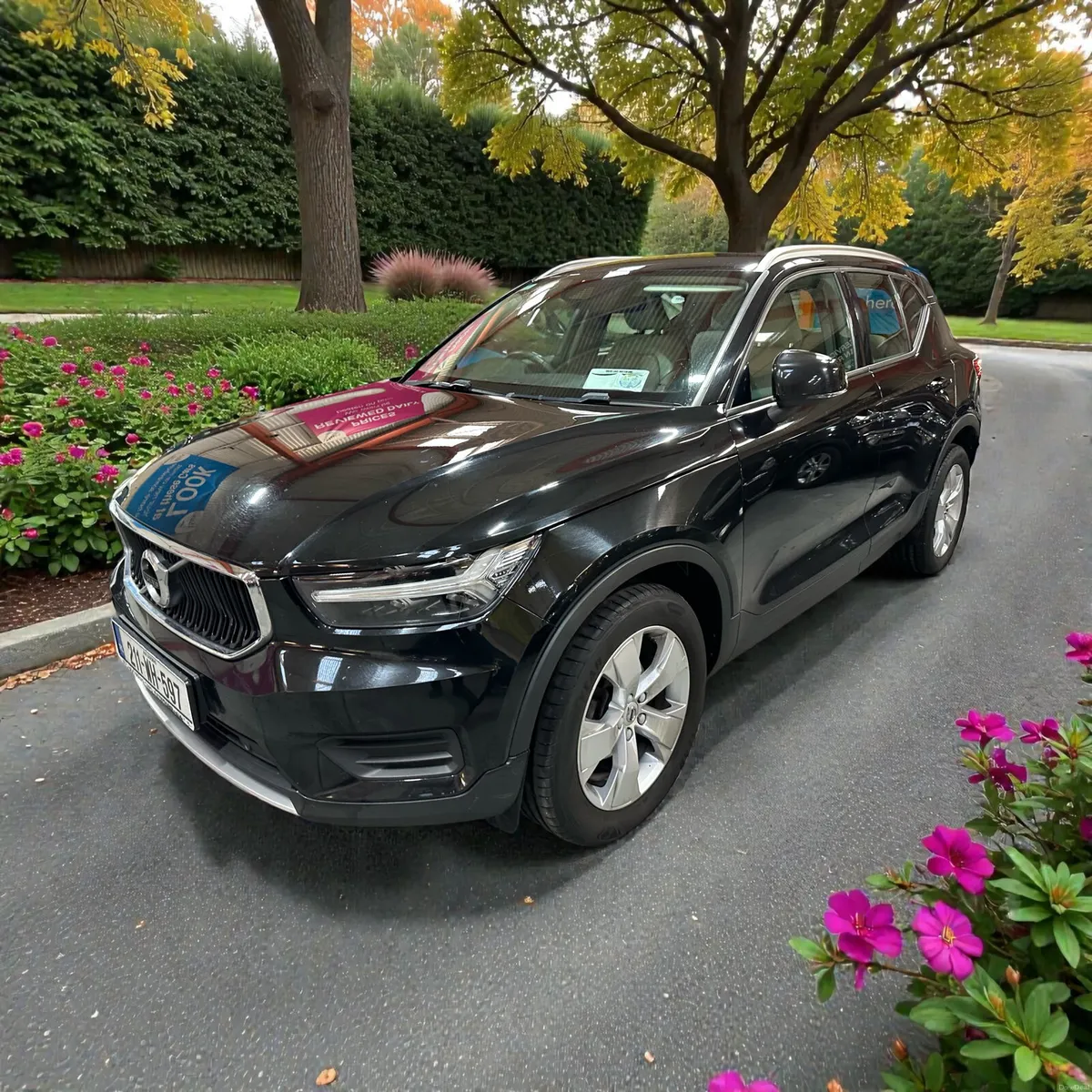2021 Volvo XC40 D3 (150hp) Momentum Automatic - Image 5