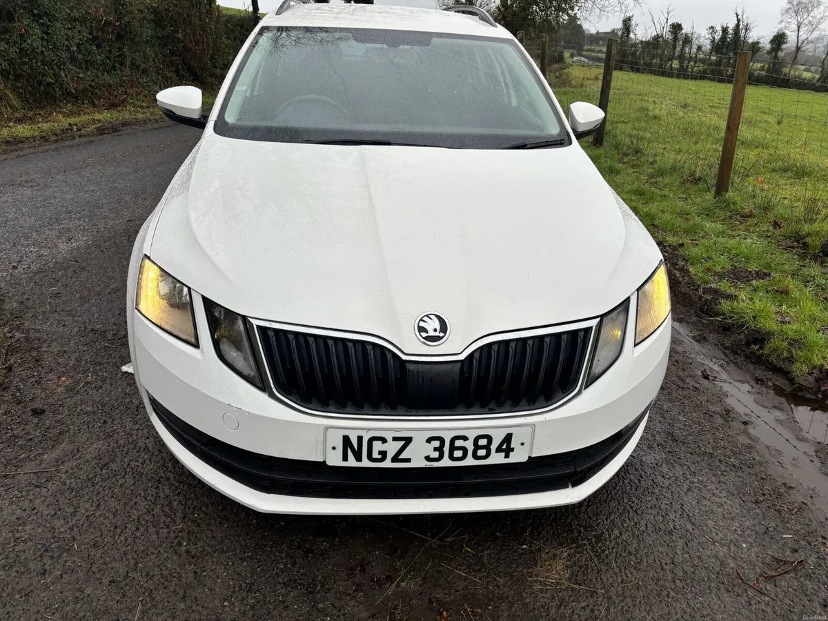 ‘19 Skoda Octavia SE 2.0 Tdi (LOW NOX) - Image 1