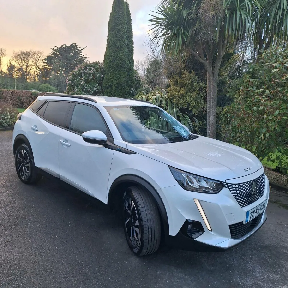 EV PEUGEOT 2008 - Image 3