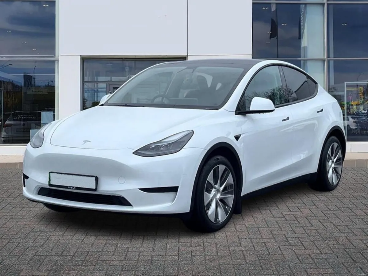 222 Tesla Model Y Standard Plus - Image 1