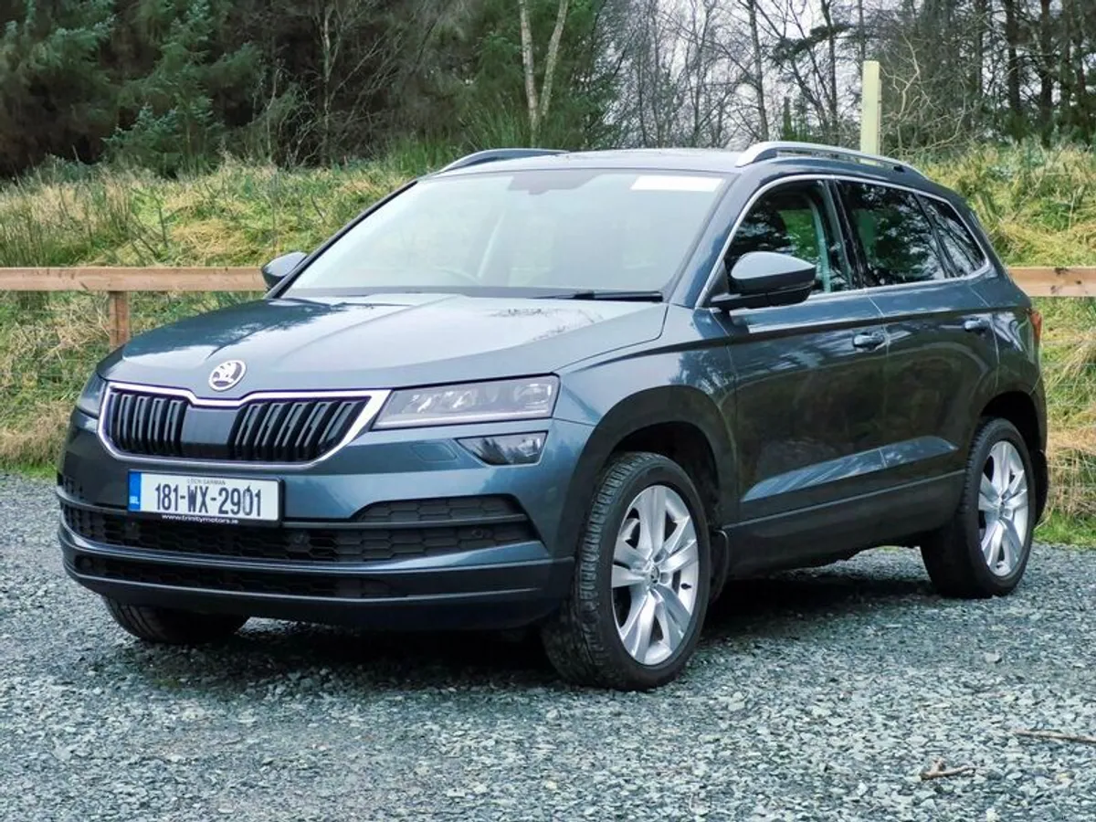 2018 Skoda Karoq Style Full Leather - Image 4