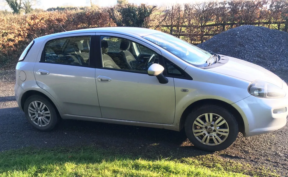 Fiat Punto 2013 - Image 1