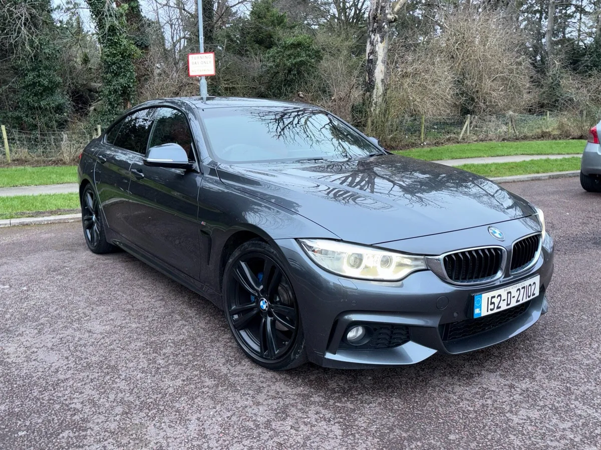 2015 BMW 420D M-Sport Auto - Image 2
