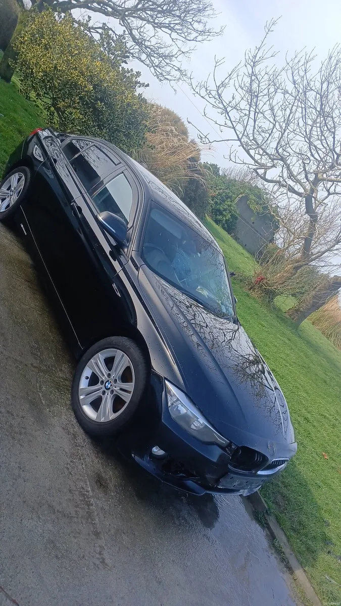 Bmw 316d Sport - Image 1