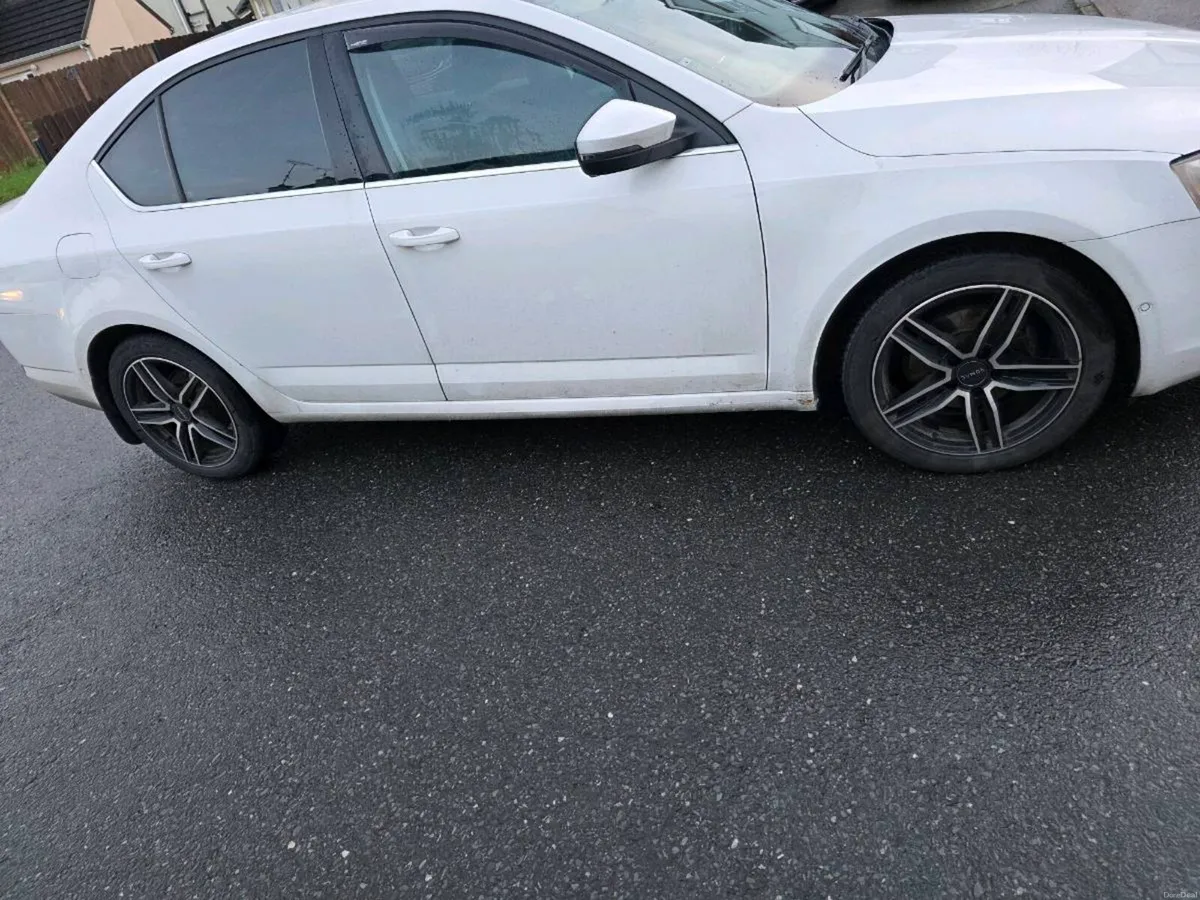 Skoda Octavia - Image 2