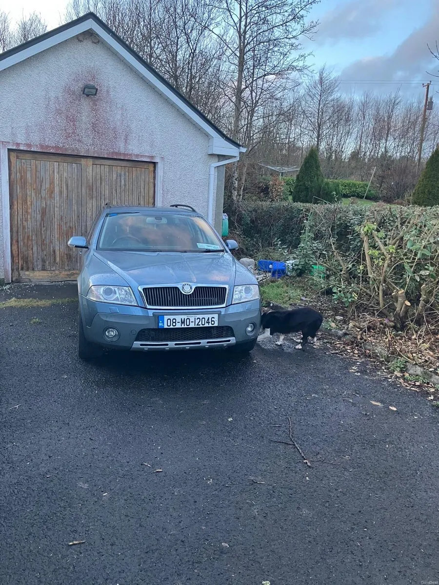 Skoda Octavia 2008 - Image 1