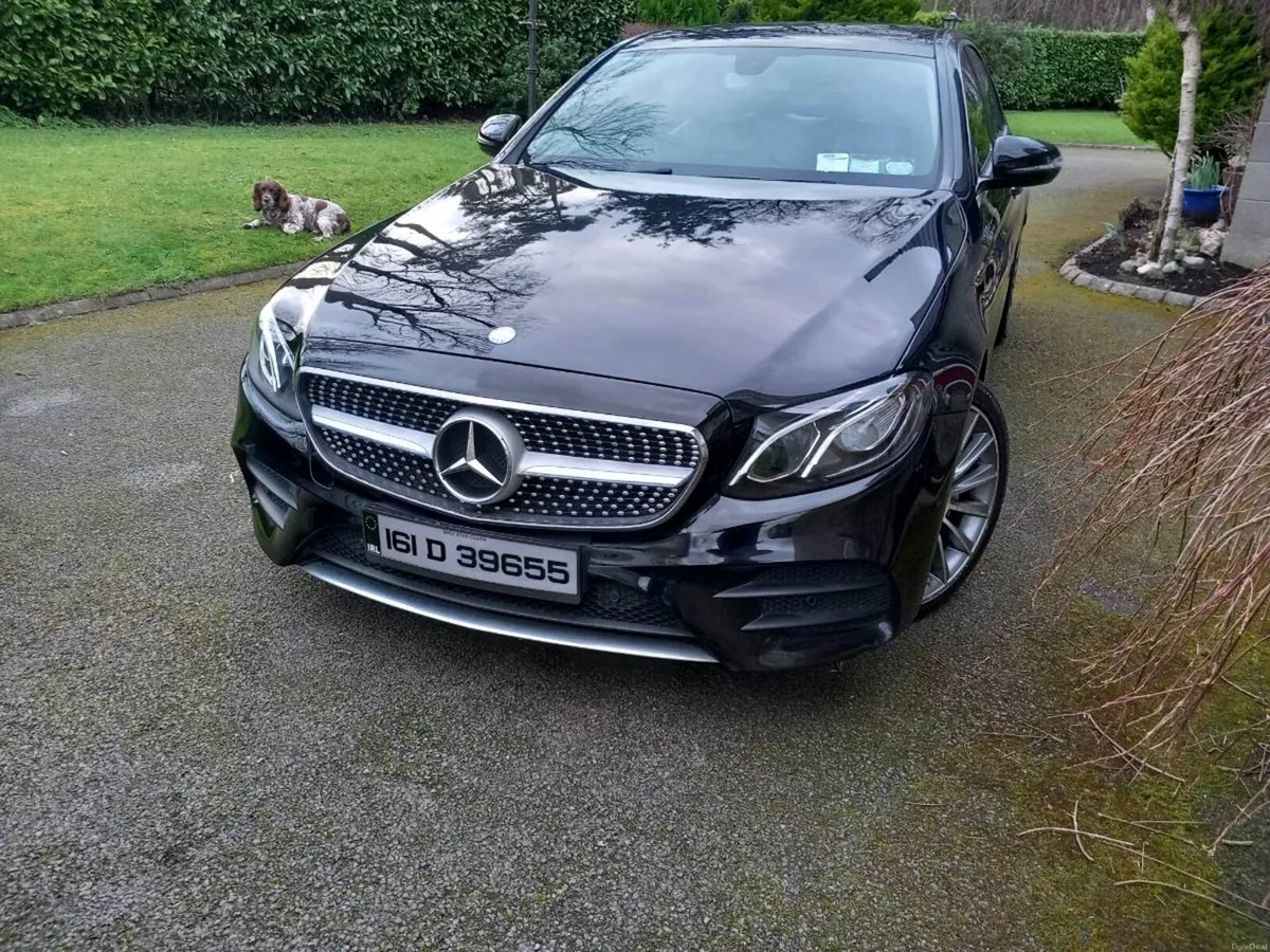 mercedes e220 avantgard low kms 1owner stunning ca - Image 3
