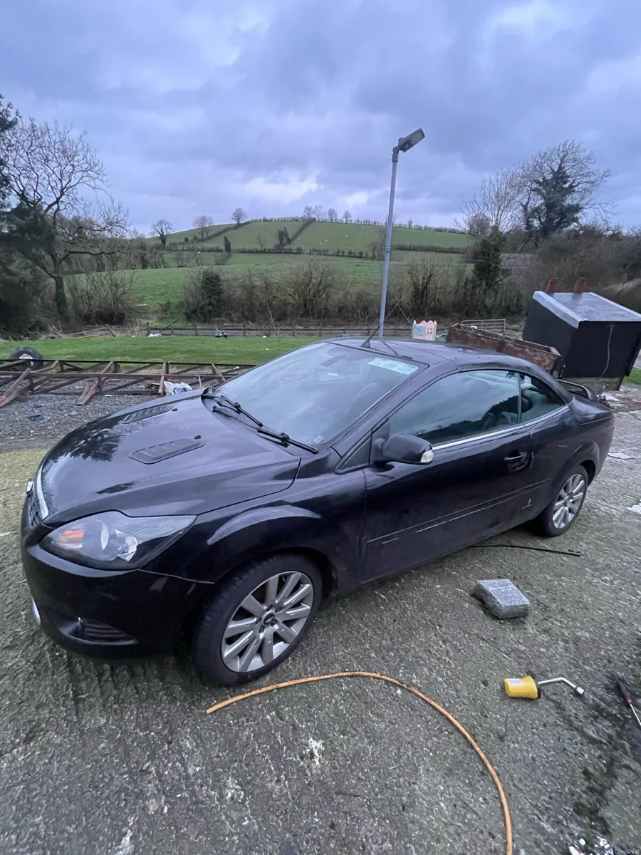 Ford focus - Image 1